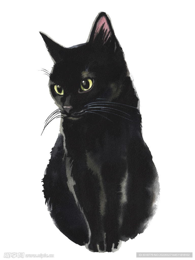 猫 