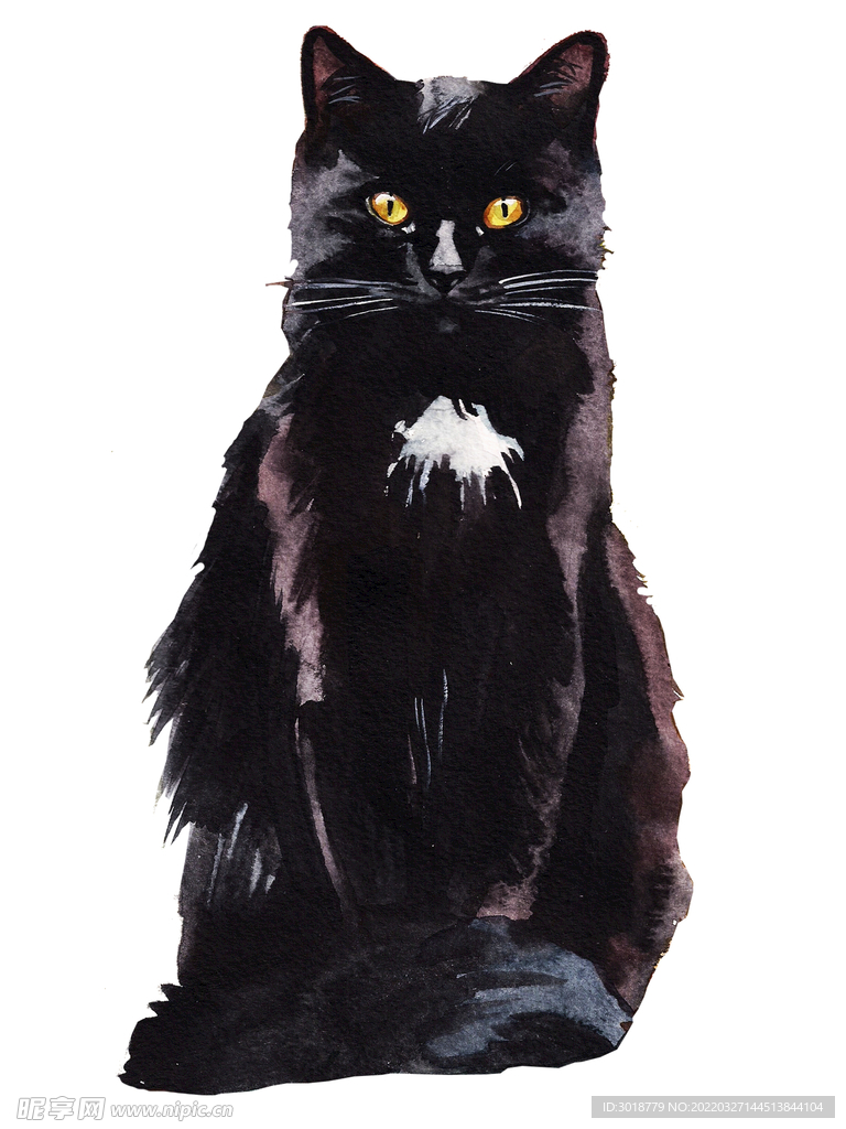 猫 