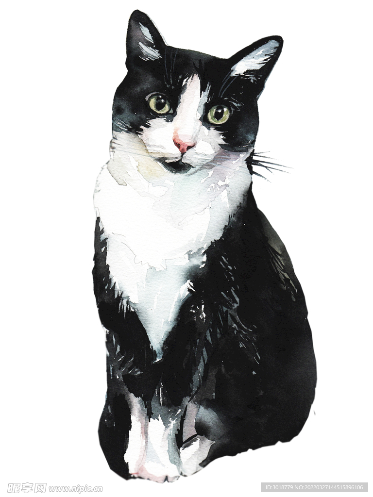 猫 