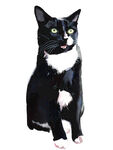 猫 