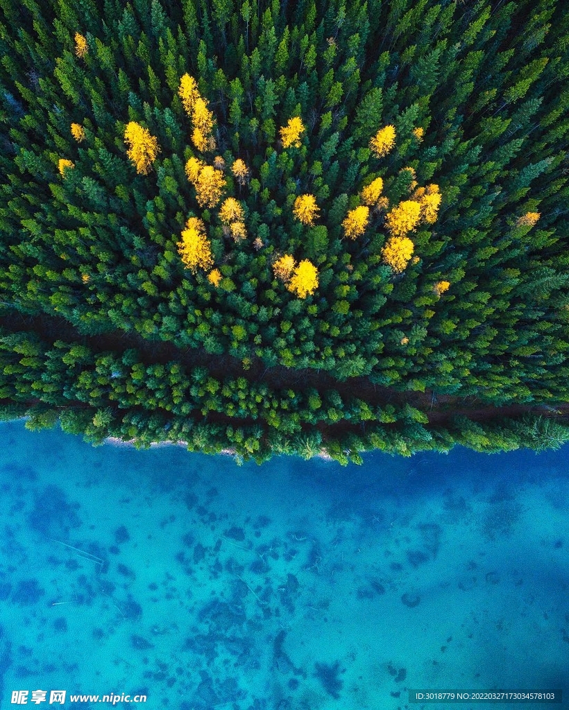 海岸纹理
