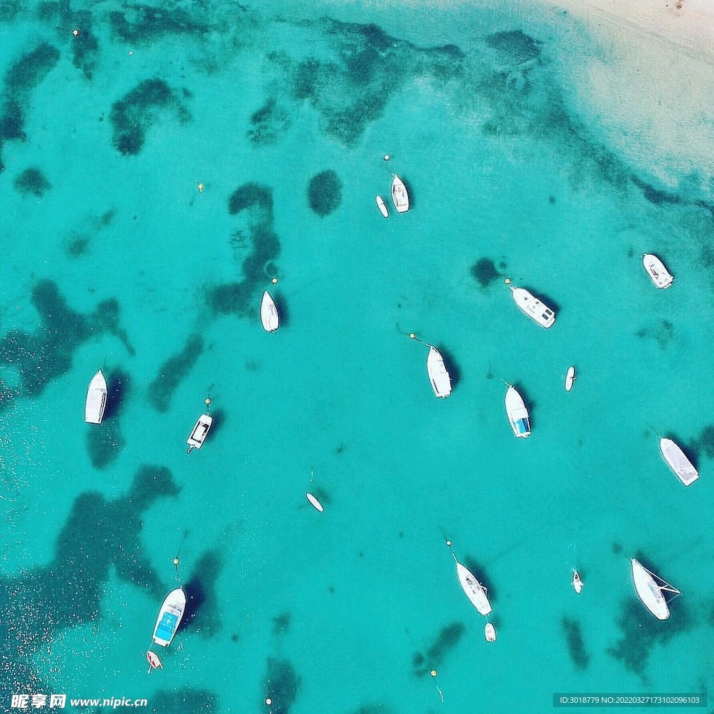 海岸纹理 