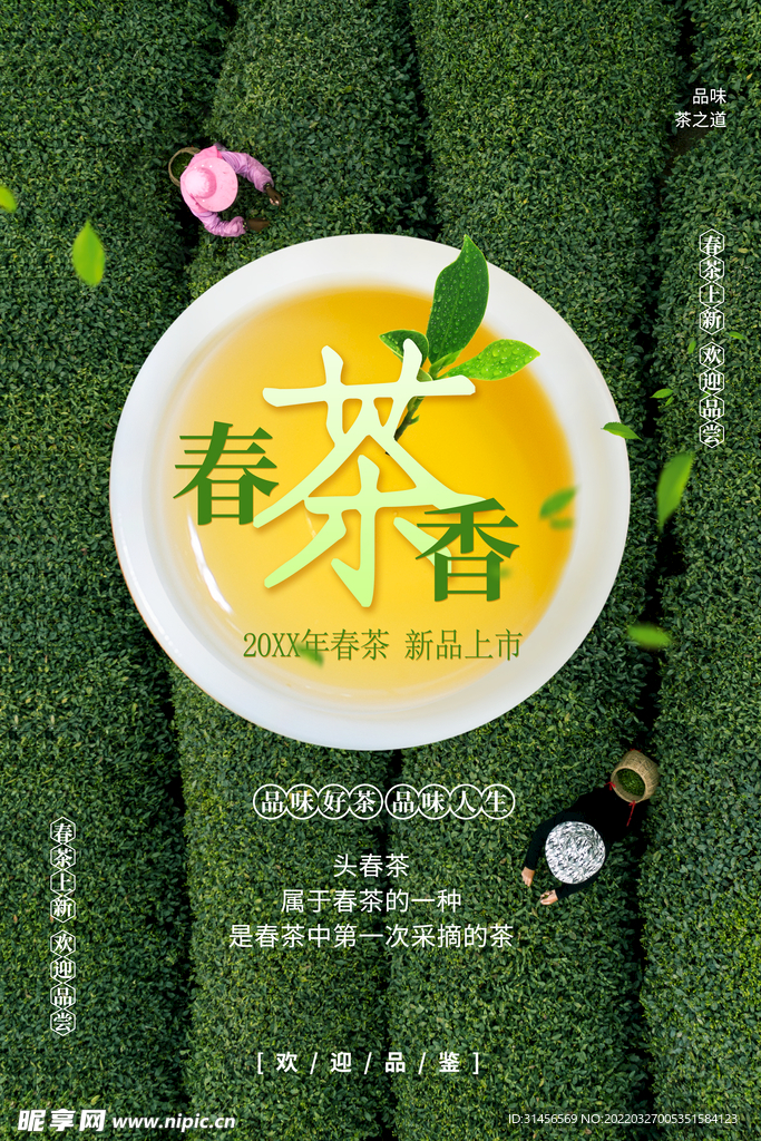 春茶