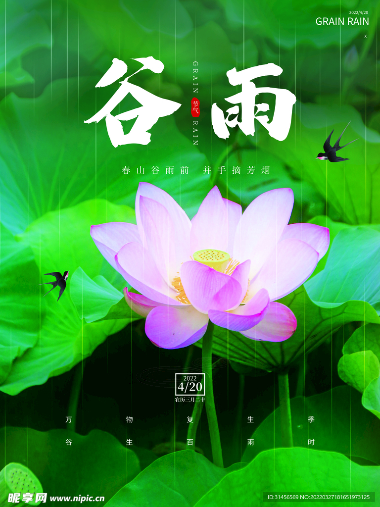 谷雨