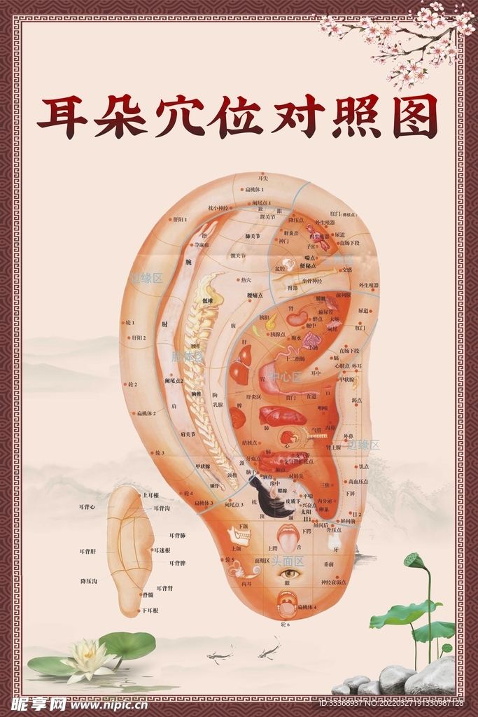 耳穴海报