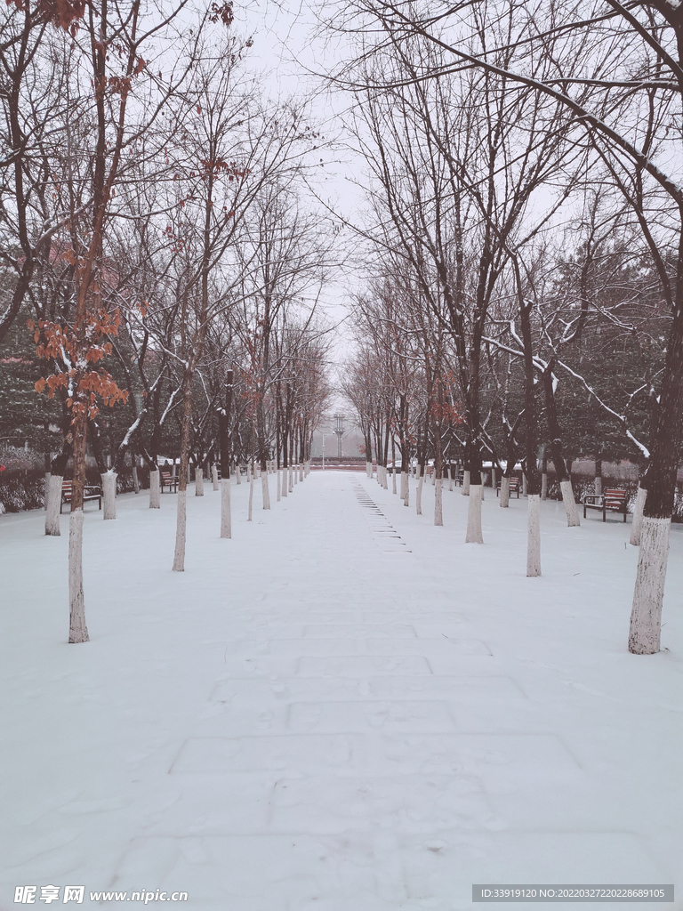 校园雪景