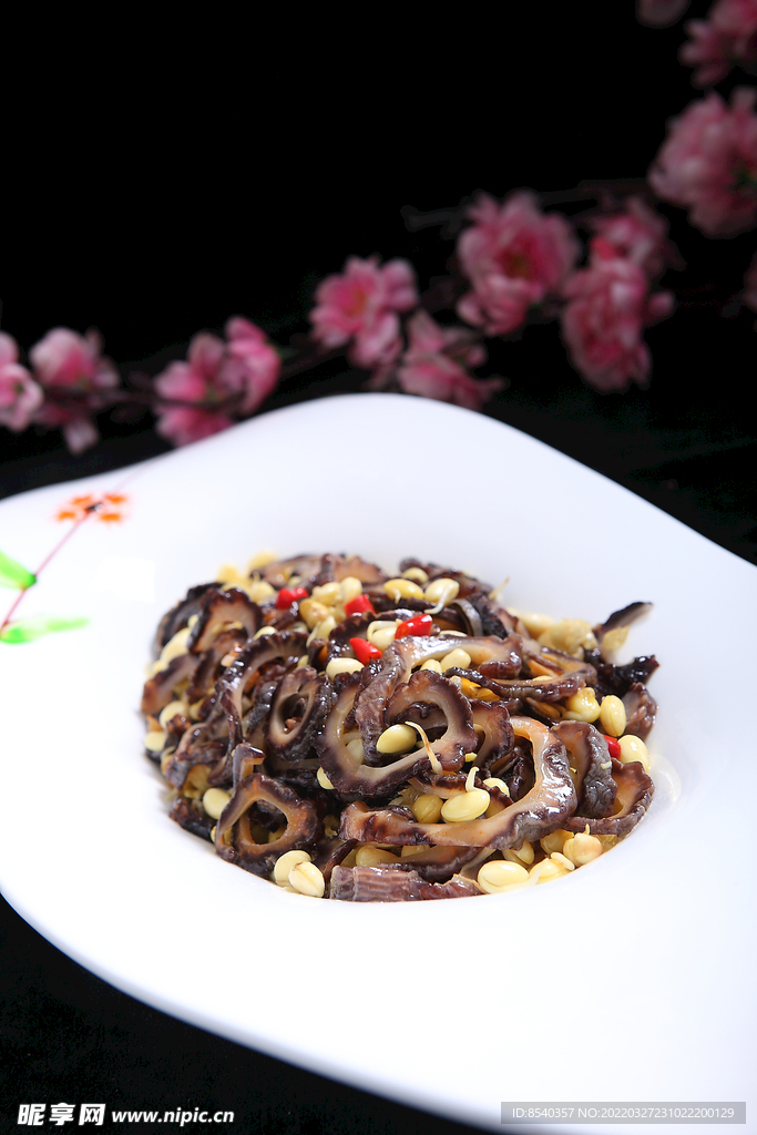 豆芽炒参皮