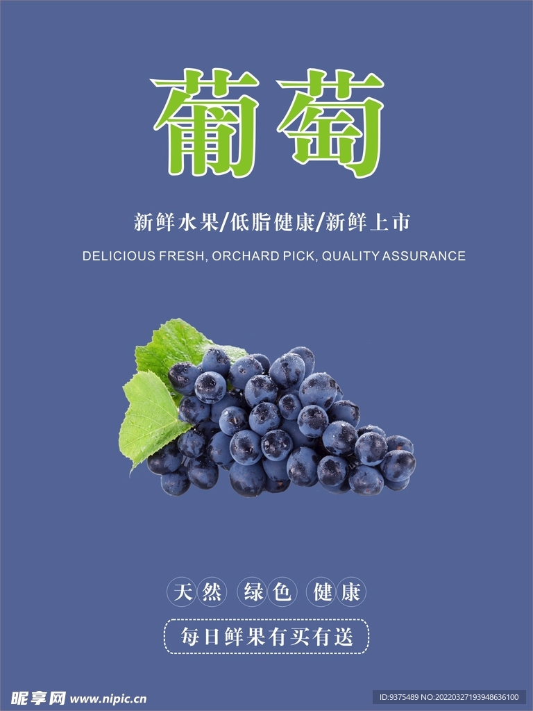 葡萄海报