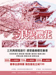 樱花旅游海报
