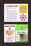 人生病的8大步骤