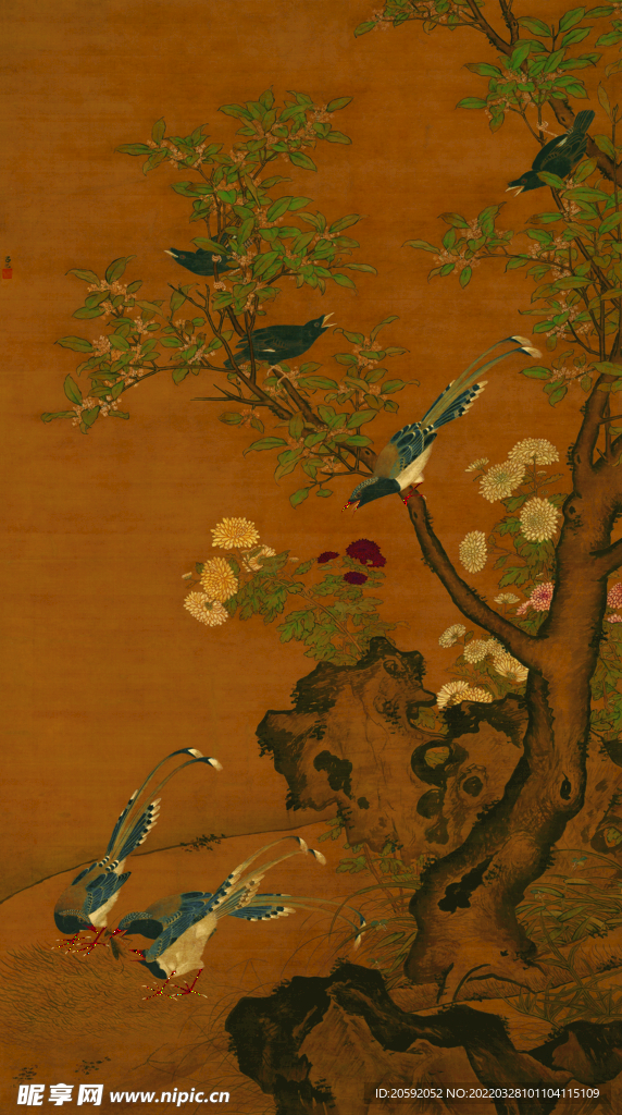  花鸟画  