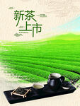 新茶上市