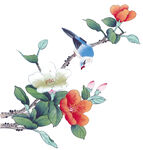 花鸟