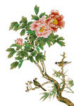  春季素材