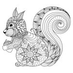 松鼠花纹