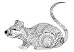 老鼠花纹