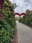 爱心小路