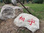 相守石
