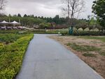风景小路