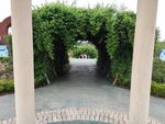林荫通道