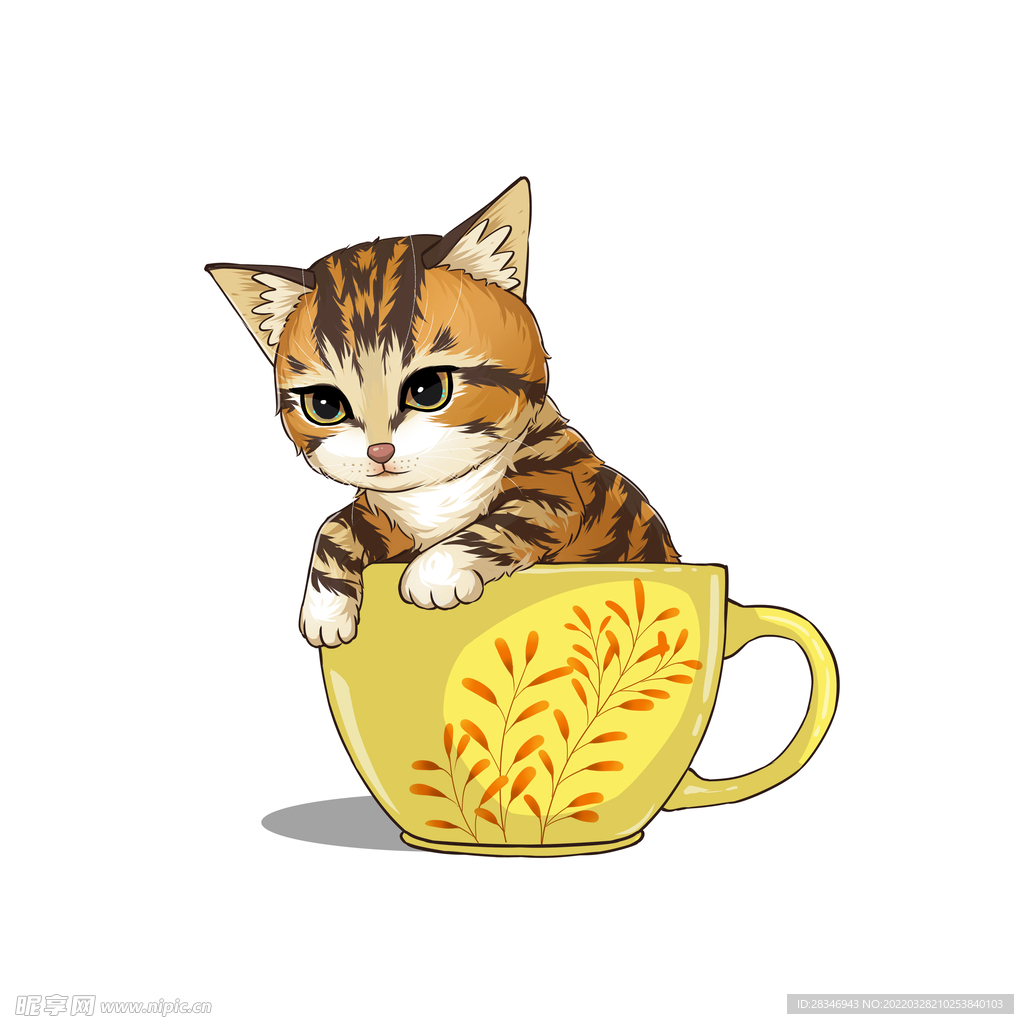 茶杯猫            