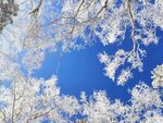 挂雪