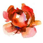 水彩花纹
