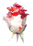 水彩花纹