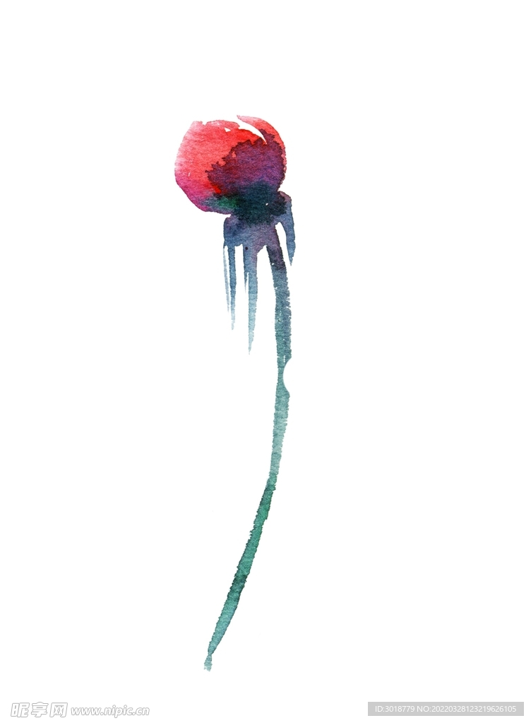 花叶 