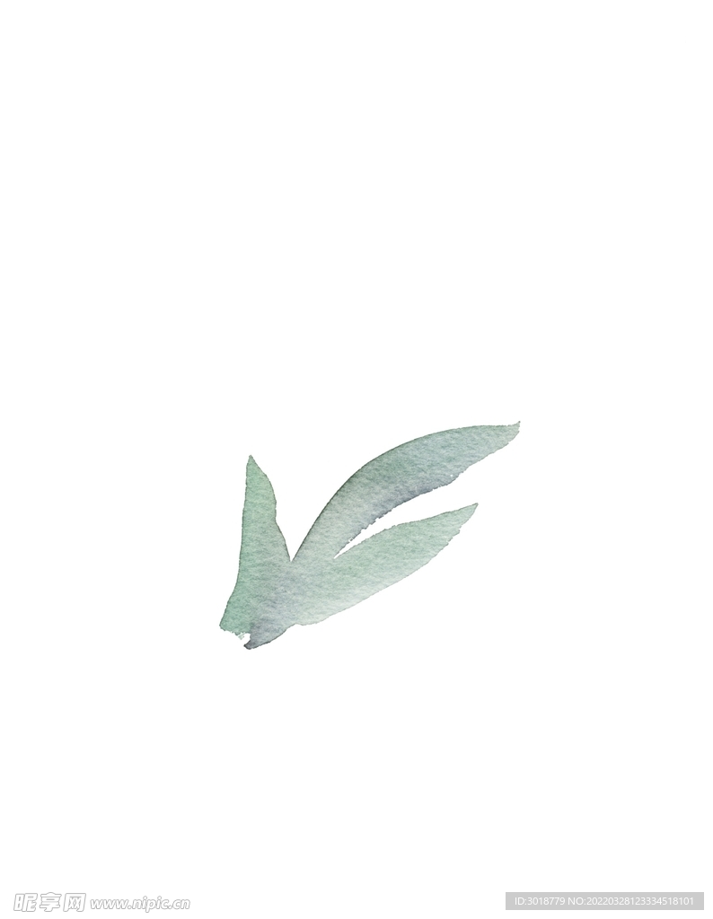 花叶