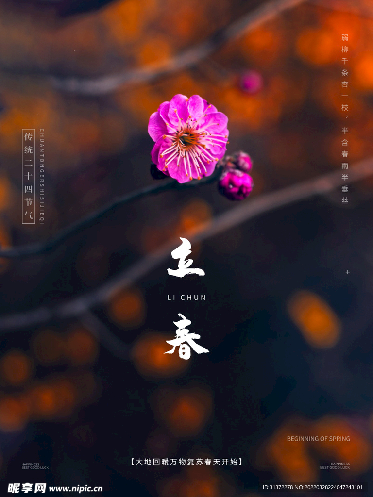   立春插画图片