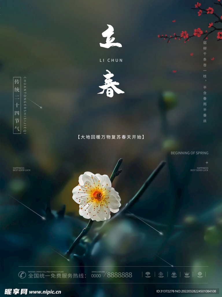 立春插画图片