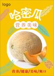 哈密瓜海报