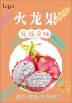 火龙果海报