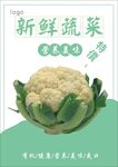 菜花海报