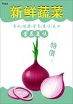 洋葱海报