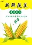 玉米海报