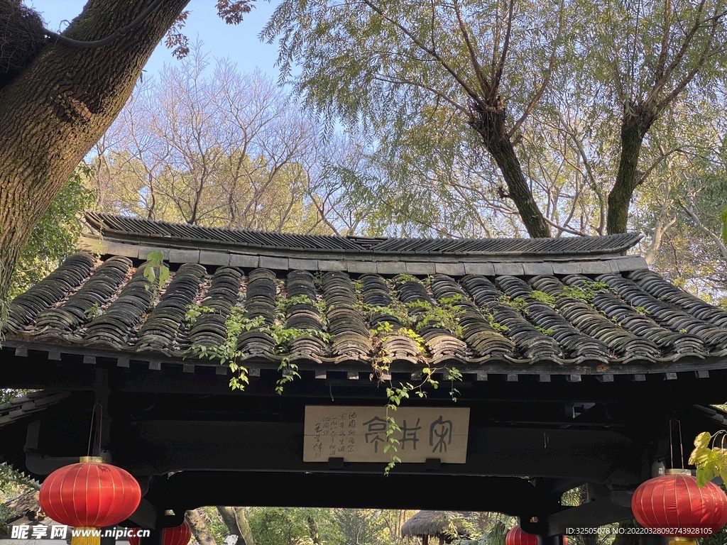 沈园
