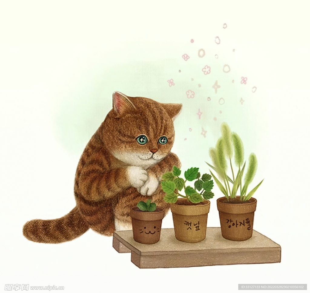 爱绿植的猫咪