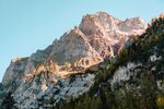 山