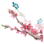 花卉  