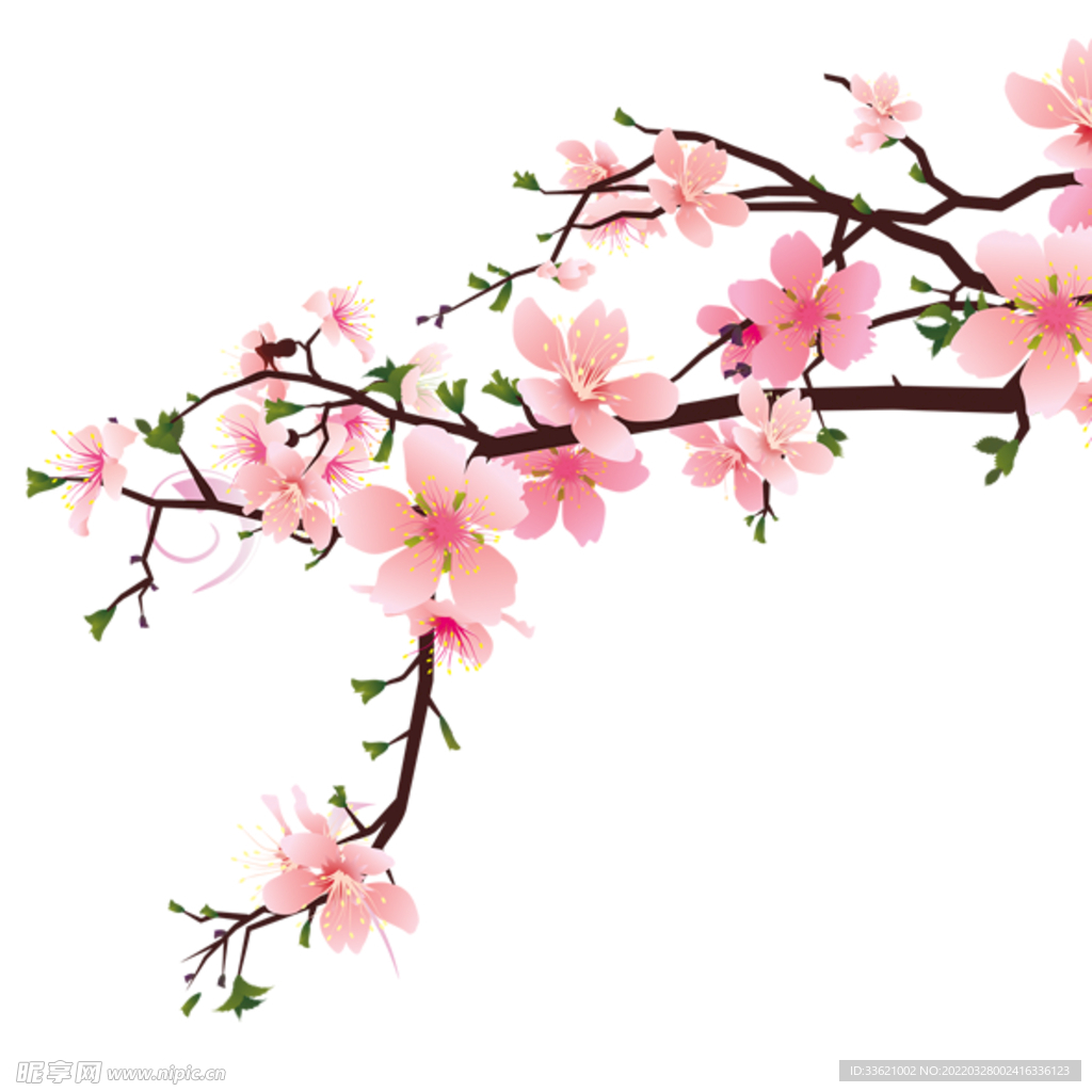 花卉 
