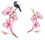 花卉 