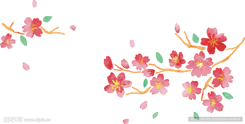 花卉 