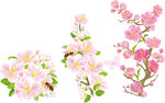 花卉 