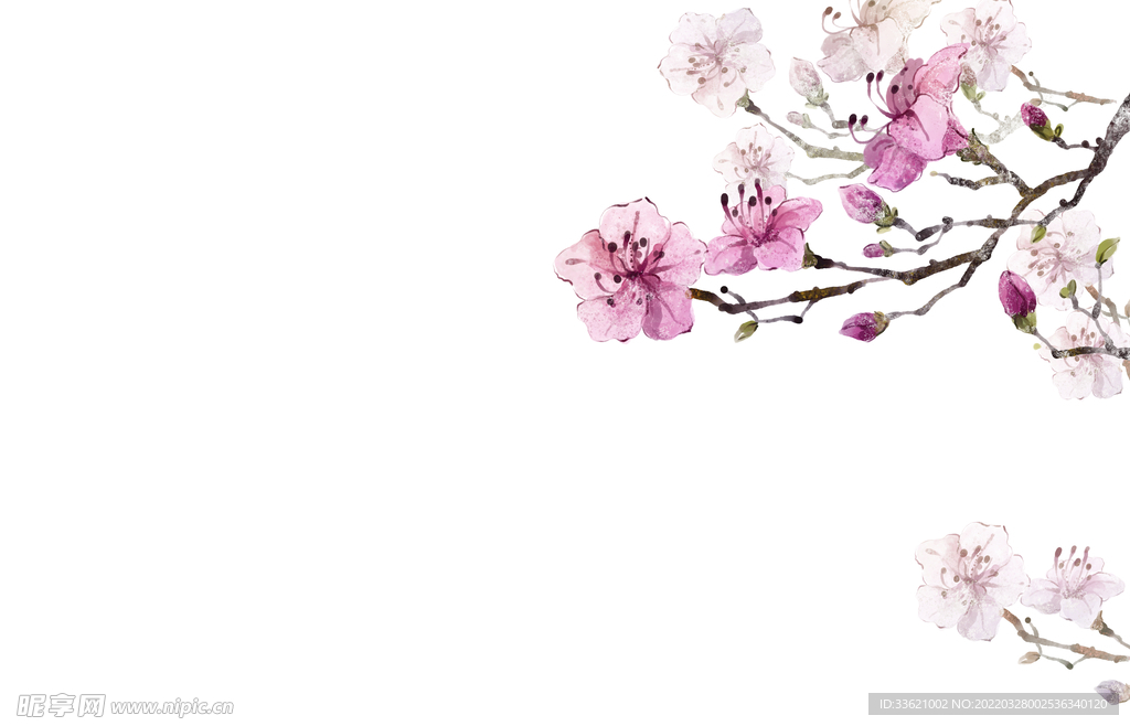 花卉 
