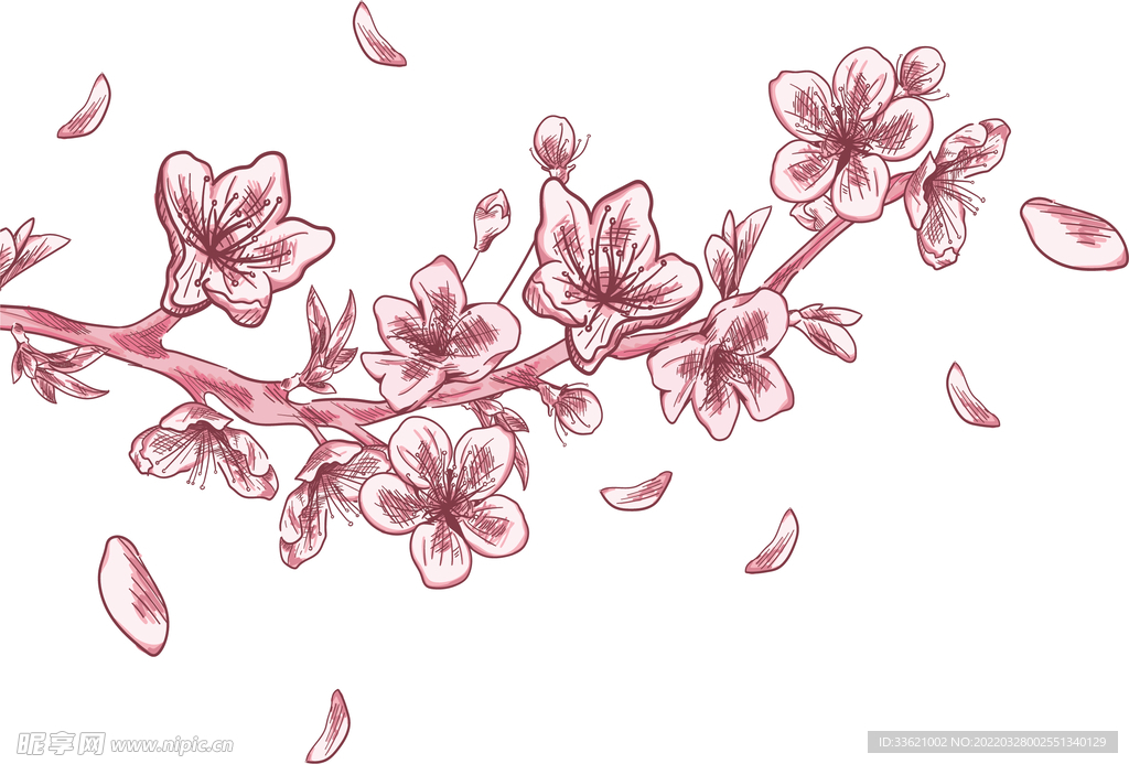 花卉 
