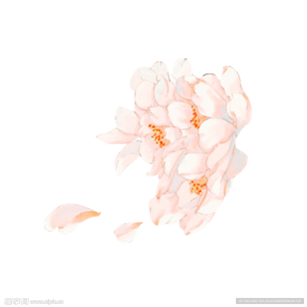 花卉  