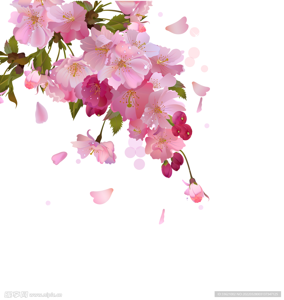 花卉  