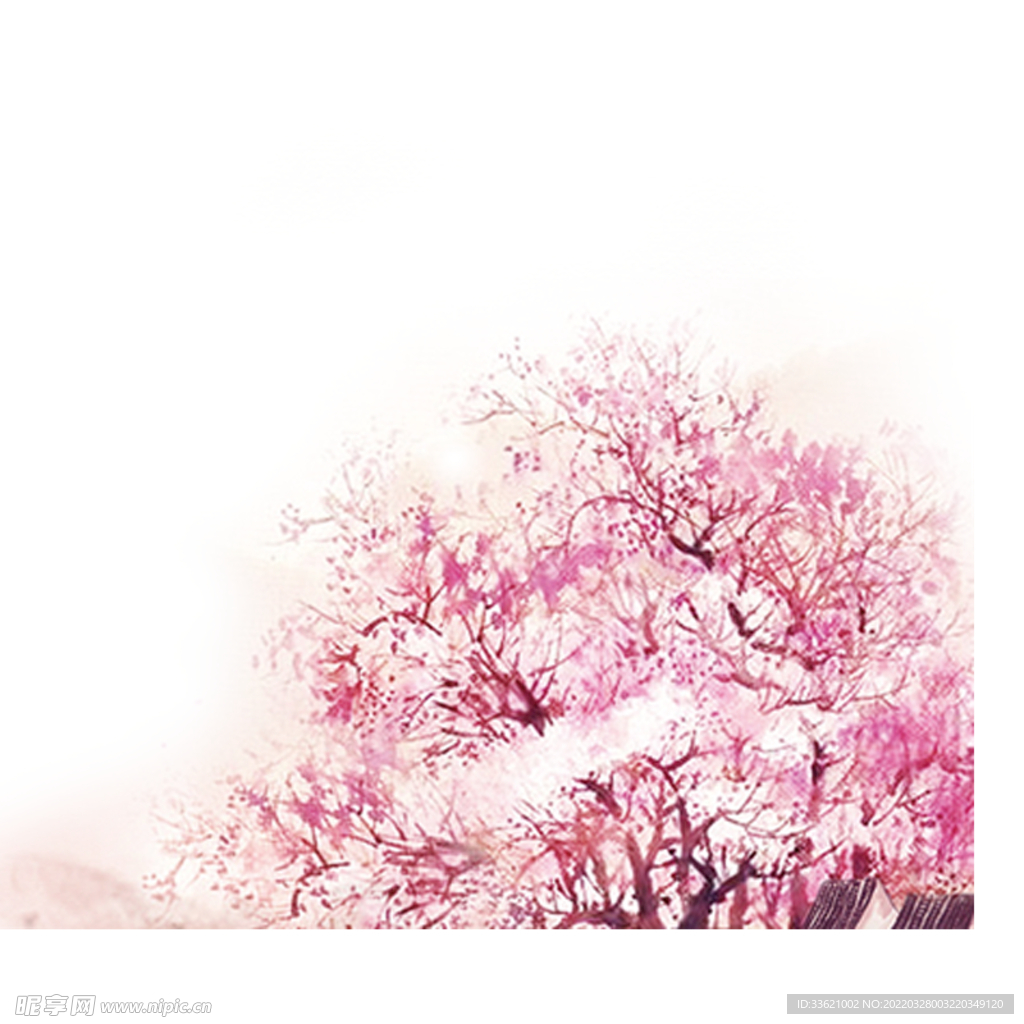 花卉 
